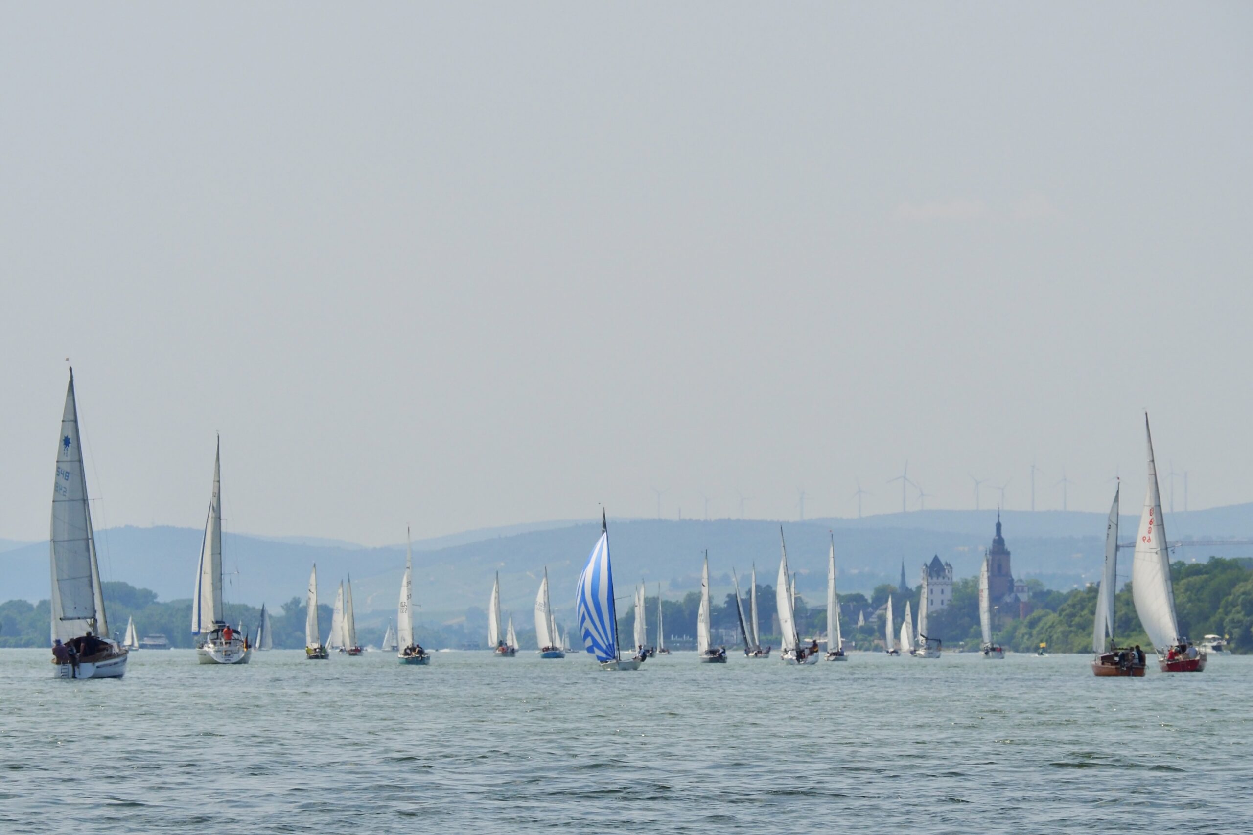 FUN-Segelregatta von Walluf nach Rüdesheim – Bürgermeister Stavridis mit an Bord