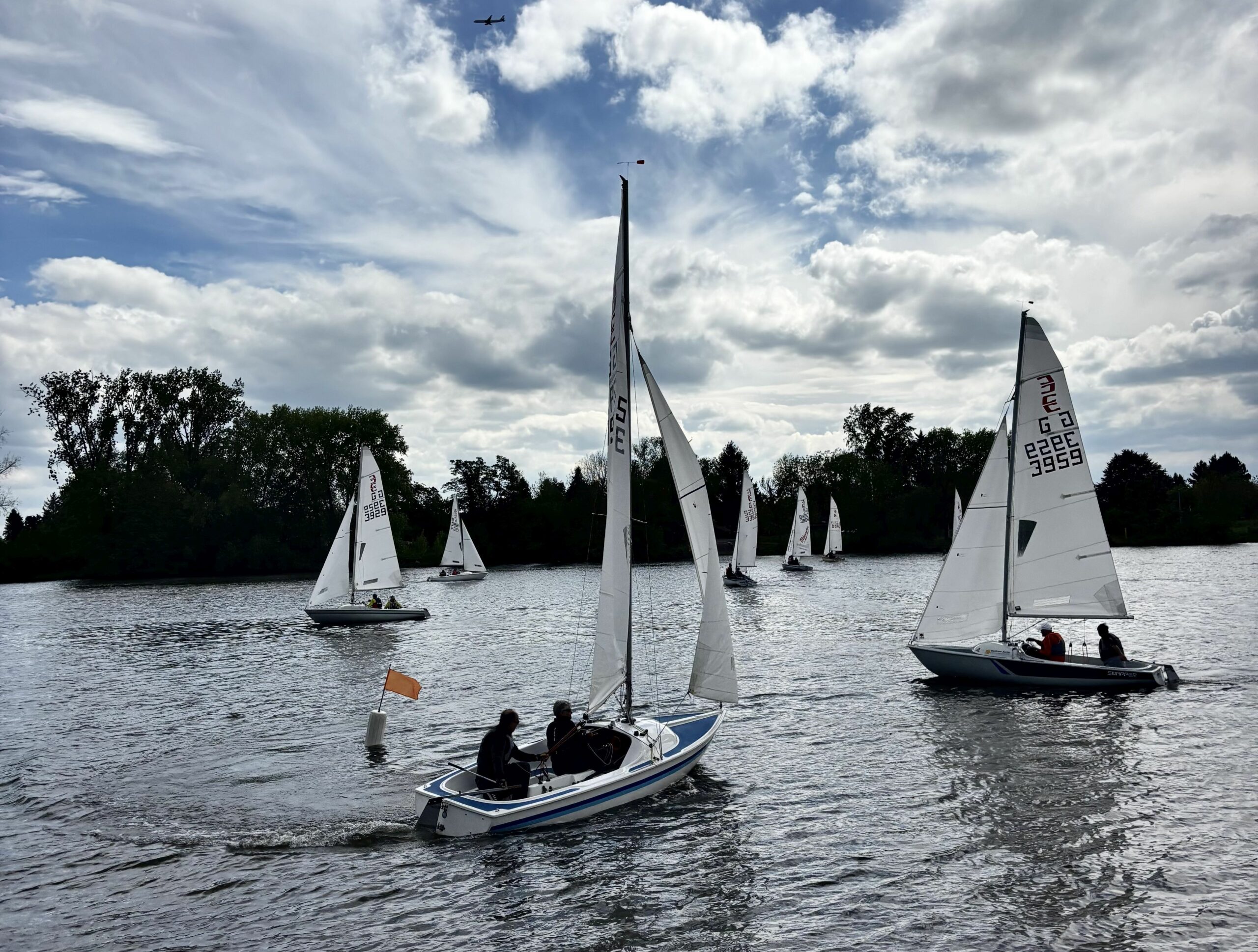 Auf die Conger, fertig, los! Regatta in der Hochheimer Bucht