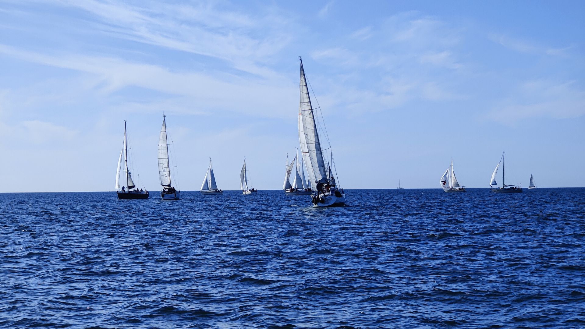Erfolgreiche 32. Hessenregatta 2025 – Wind, Wellen und Wir-Gefühl